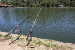 I watched with interest as my husband worked on his casting technique with his new fly rod. Fly-fishing has always been an appealing sport because it requires more activity than just standing and waiting for a fish to pull your floater underwater. I was assigned to watch over the other four fishing poles he had brought with us. They were...
