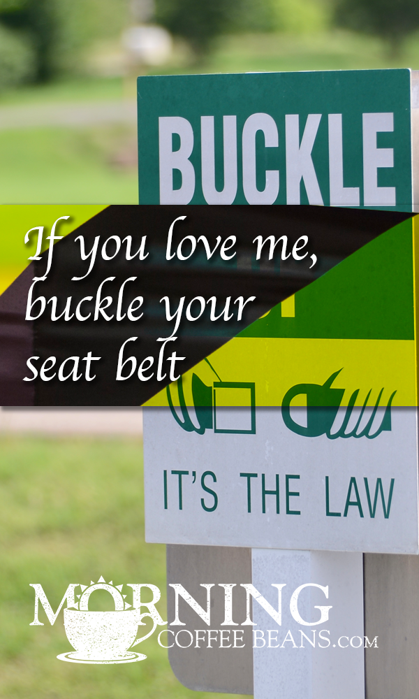 If You Love Me, Buckle Your Seat Belt Short Stories