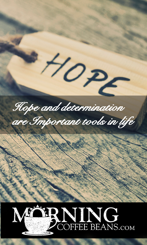 Hope and Determination are Important Tools in Life - Short Stories